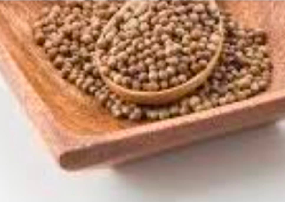 فروش ویژه بذرخشک گشنیز آناهیتا اکسپورت  جهت بازار دبی